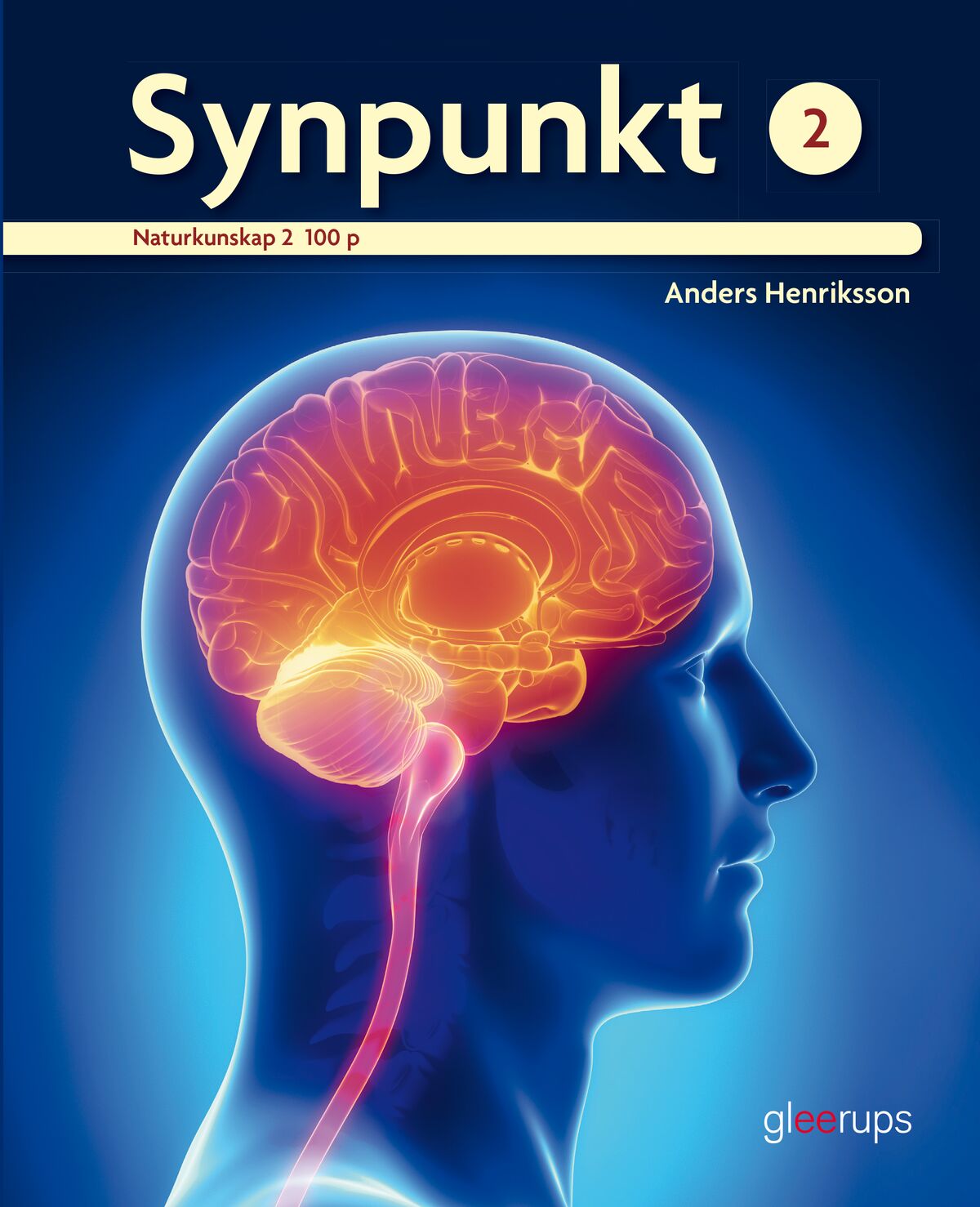 Omslag: Synpunkt 2 100 p