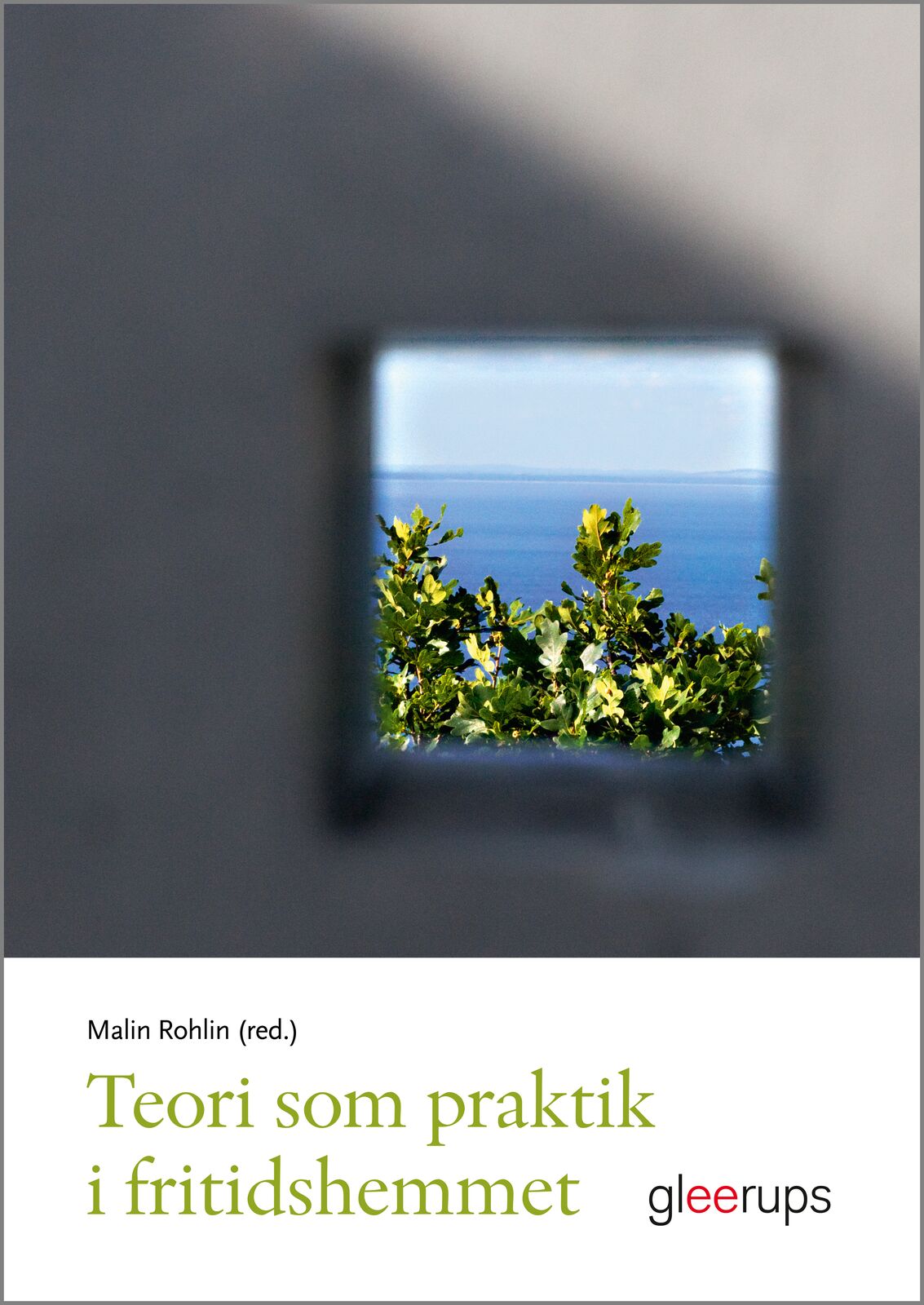 Omslag: Teori som praktik i fritidshemmet