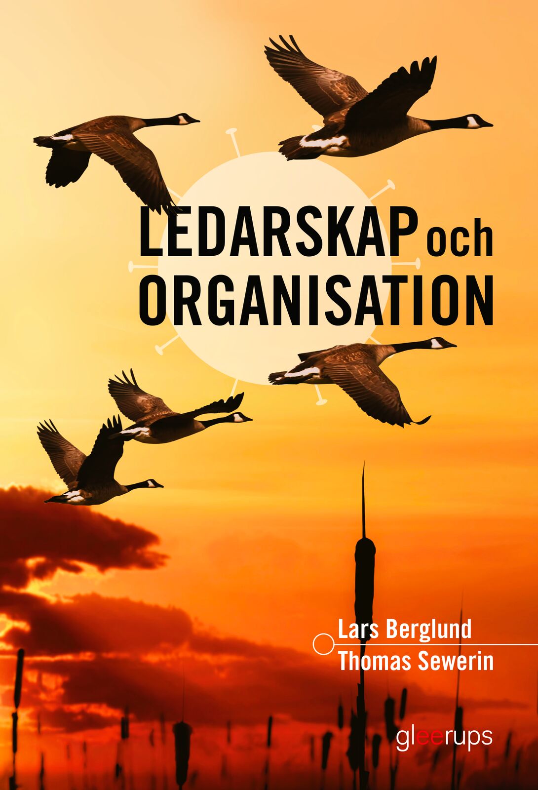 Omslag: Ledarskap och organisation, elevbok,