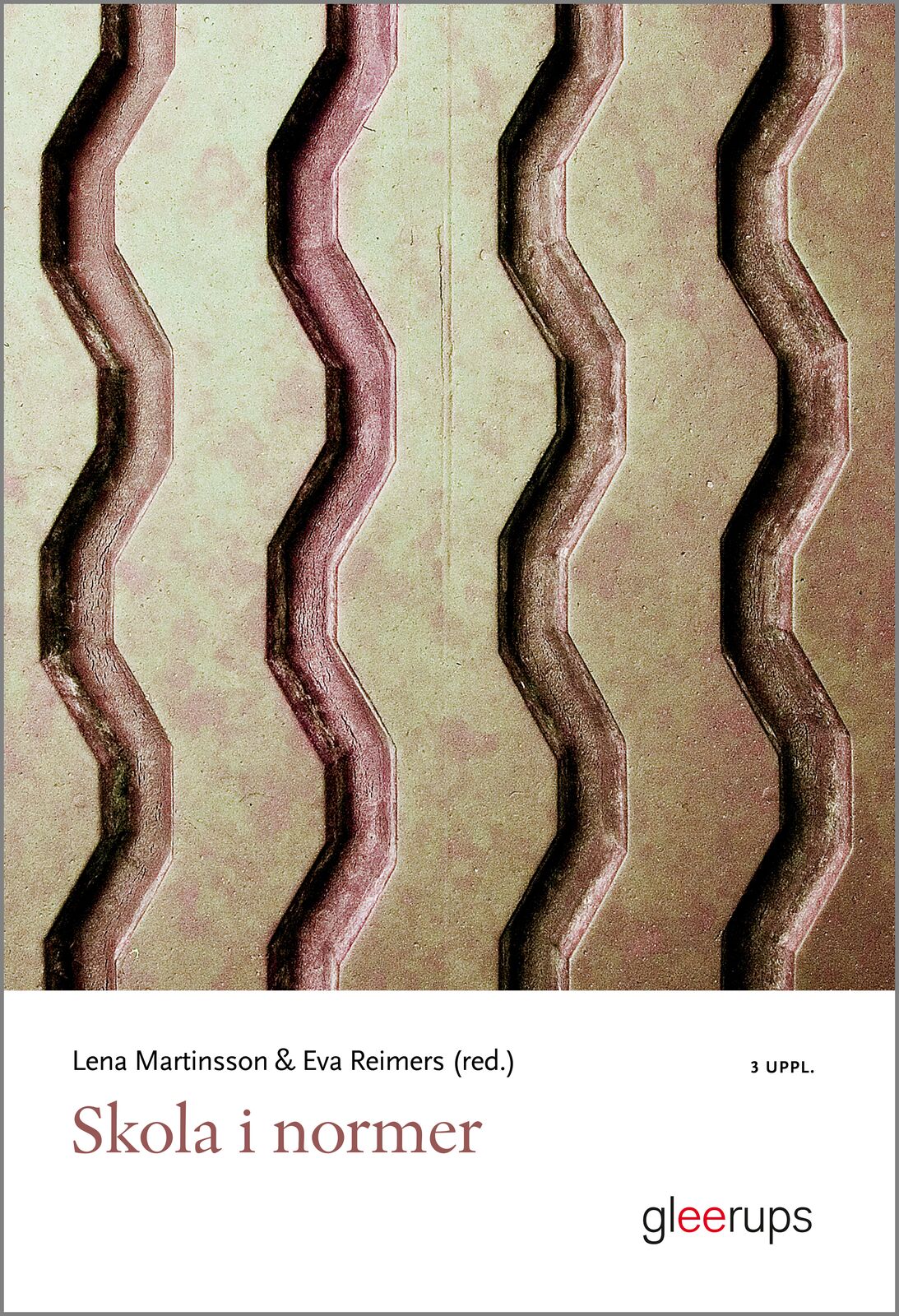 Omslag: Skola i normer