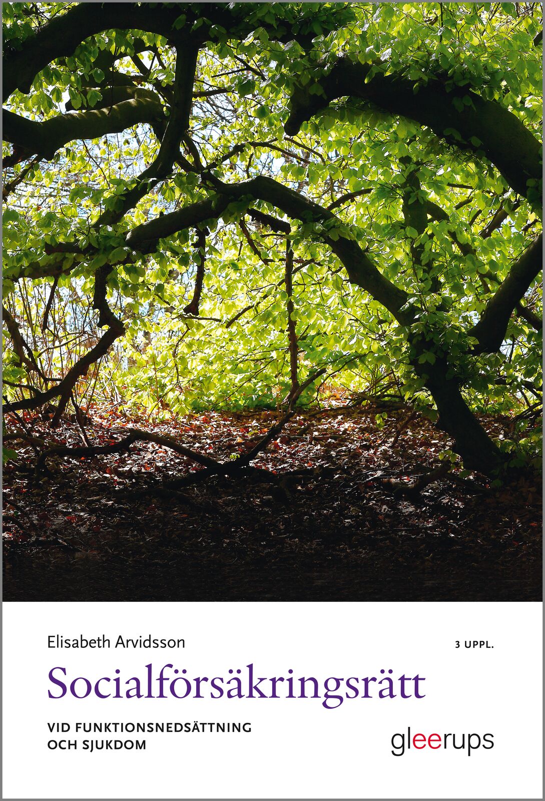 Omslag: Socialförsäkringsrätt vid funktionsnedsättning och sjukdom