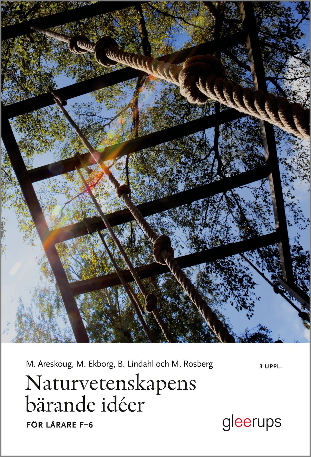 Omslag: Naturvetenskapens bärande idéer, 3 uppl : För lärare F-6