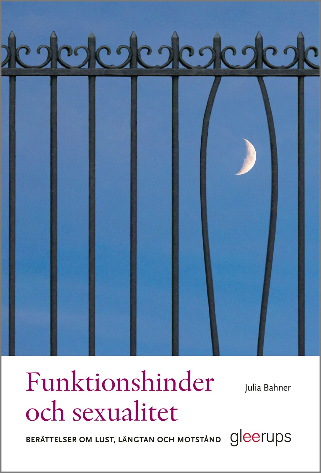 Omslag: Funktionshinder och sexualitet : berättelser om lust, längtan och motstånd