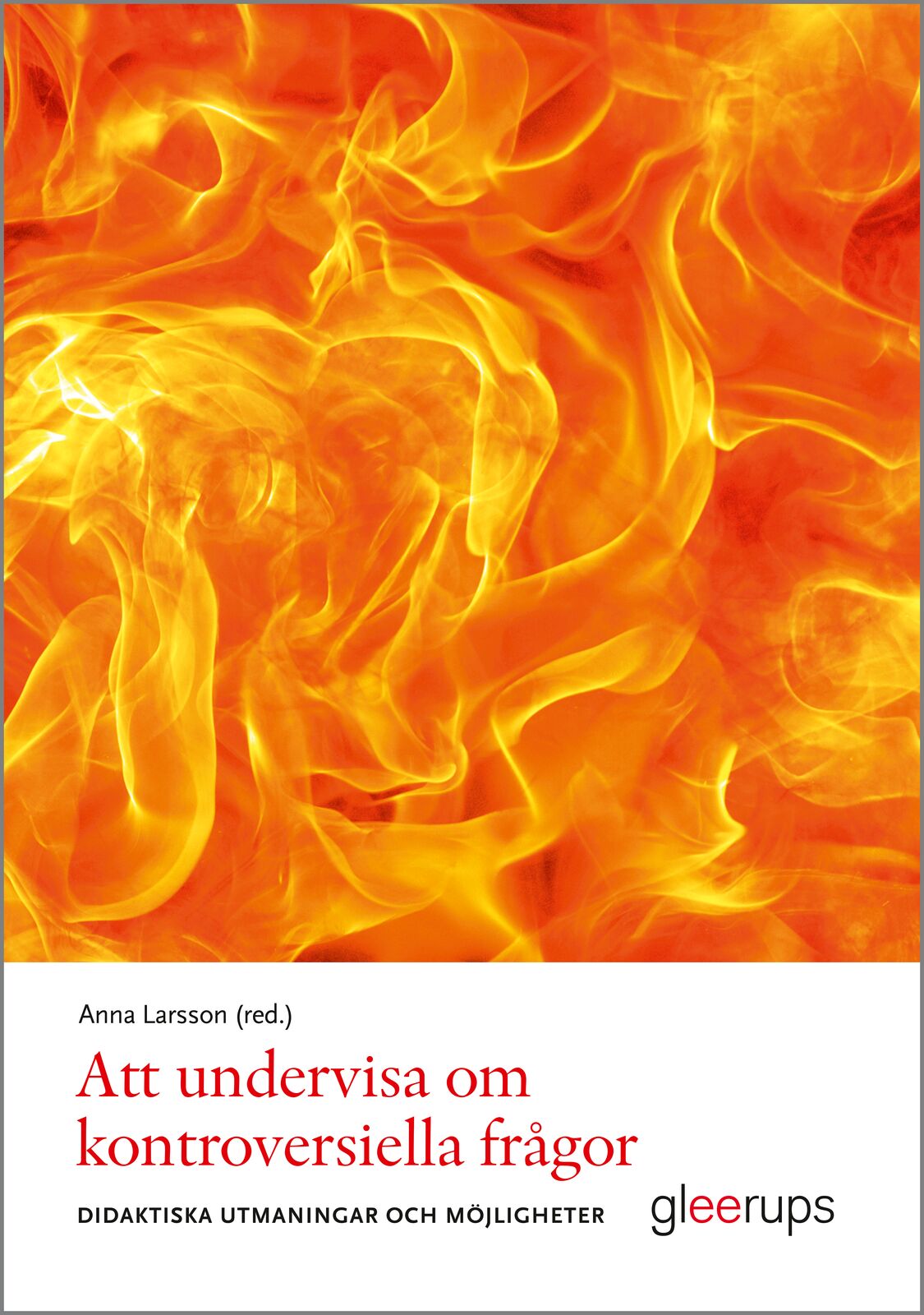 Omslag: Att undervisa om kontroversiella frågor : Didaktiska möjligheter och utmaningar