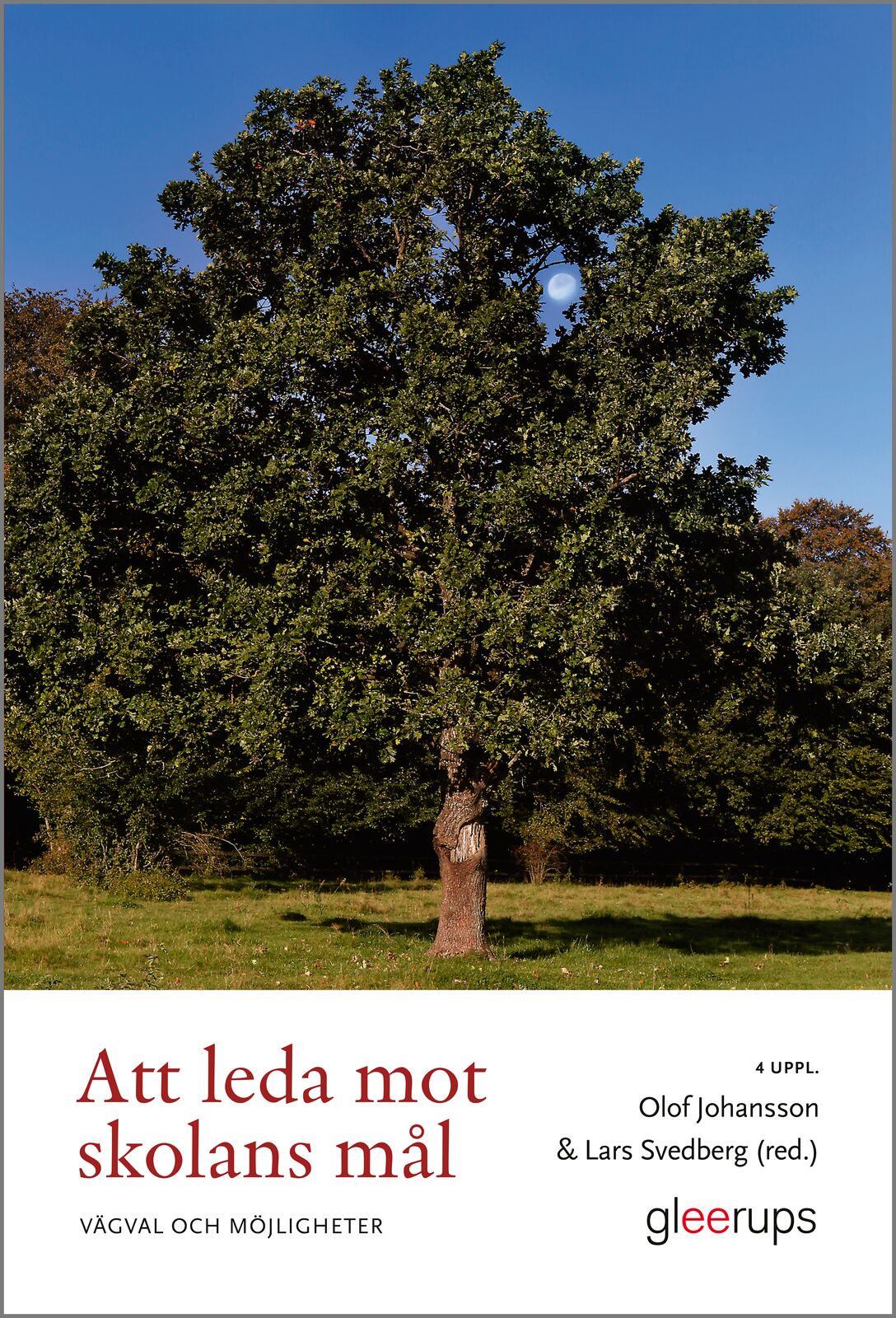 Omslag: Att leda mot skolans mål  : vägval och möjligheter