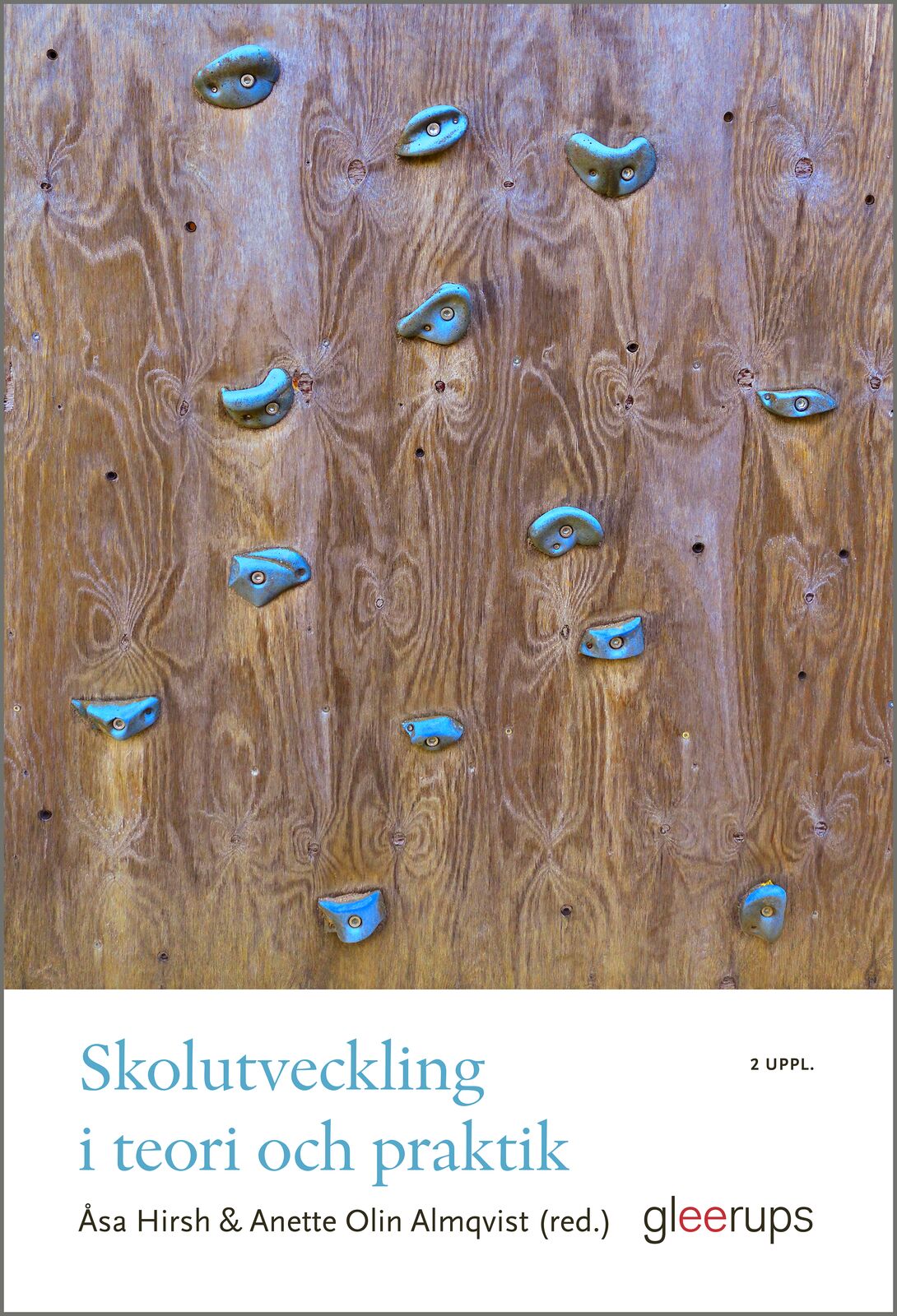 Omslag: Skolutveckling i teori och praktik