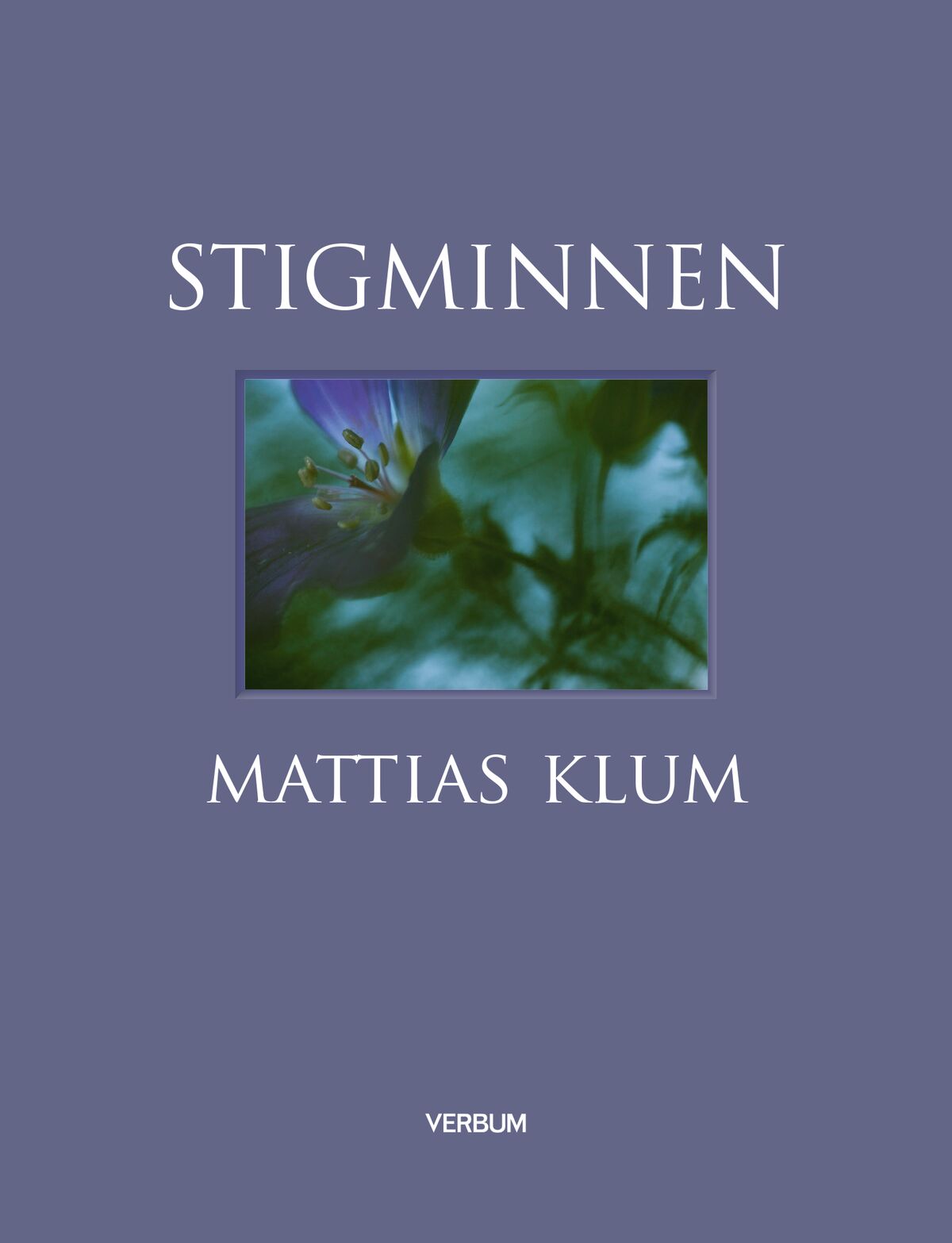 Omslag: Stigminnen