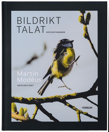 Omslag: Bildrikt talat : reflektionsbok